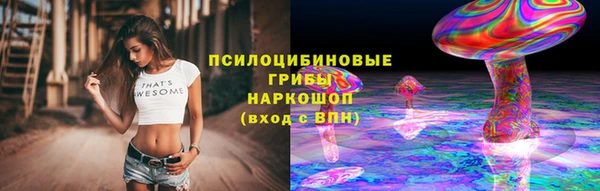 прущие грибы Бородино