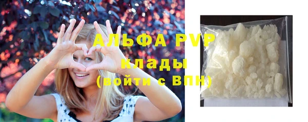 прущие грибы Бородино