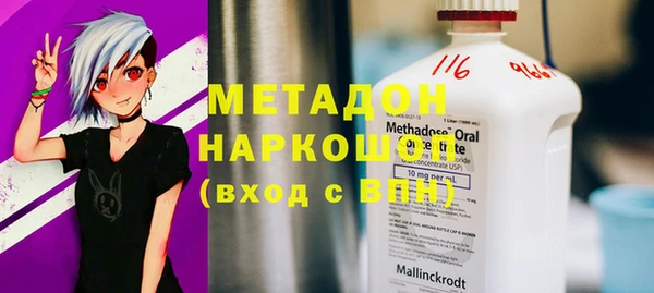 прущие грибы Бородино