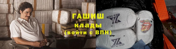 прущие грибы Бородино
