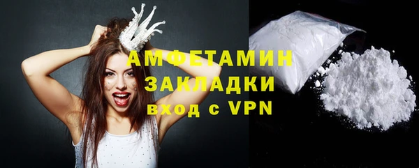 прущие грибы Бородино
