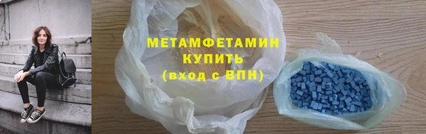 прущие грибы Бородино