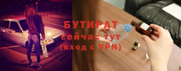 прущие грибы Бородино