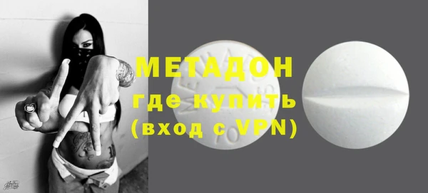 прущие грибы Бородино