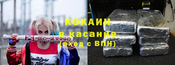прущие грибы Бородино