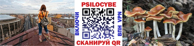 Галлюциногенные грибы MAGIC MUSHROOMS  Вельск 